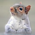 刺激系の施術で対処しないほうが良い場合があることを体感していただけた